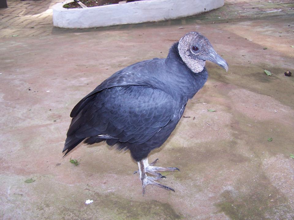 FIGURE 3 FIGURE 3